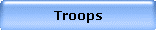 Troops